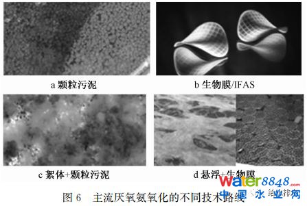 δˮ̎ˇl(f)չɷҎ(gu)ɼ(yng)