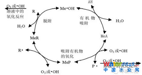 ߼g(sh)̎BVҺоF(xin)cM(jn)չ
